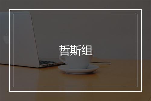 哲斯组