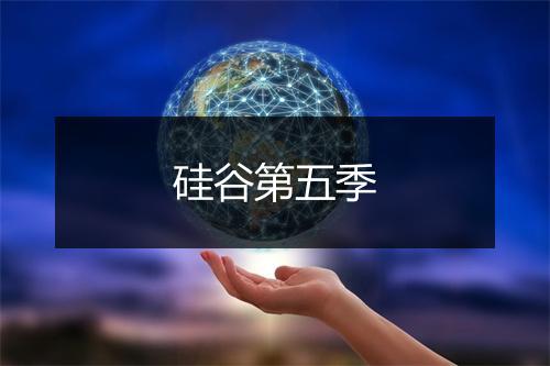 硅谷第五季