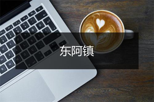 东阿镇