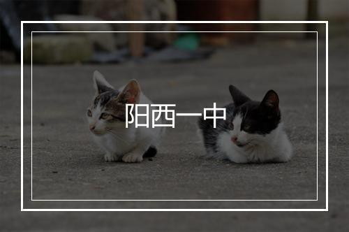 阳西一中