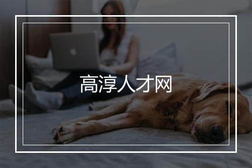 高淳人才网