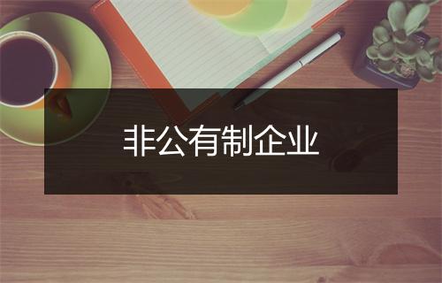 非公有制企业