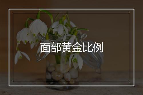 面部黄金比例