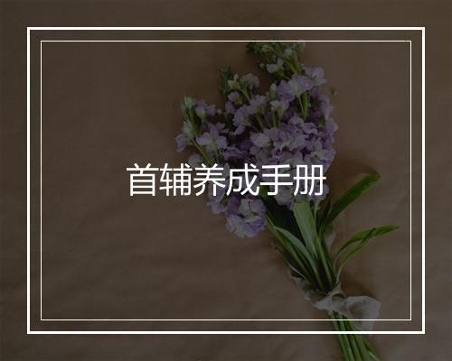 首辅养成手册