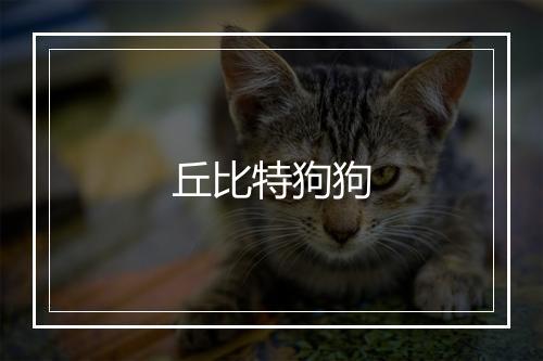 丘比特狗狗