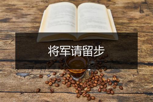 将军请留步