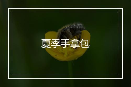 夏季手拿包