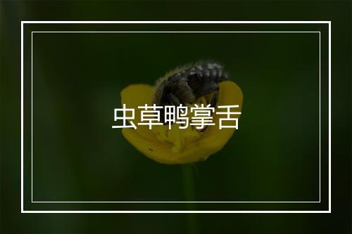 虫草鸭掌舌