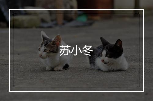 苏小冬