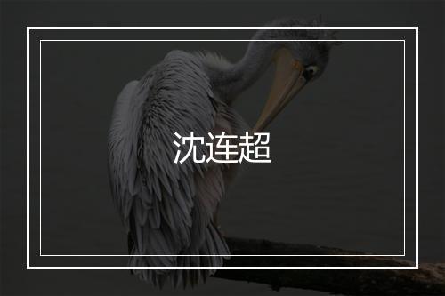 沈连超