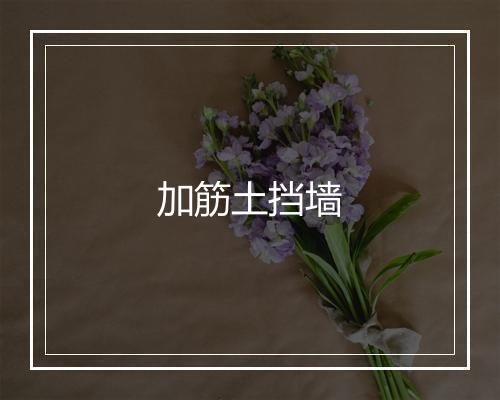 加筋土挡墙