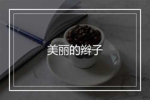 美丽的辫子