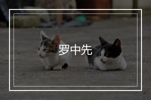 罗中先