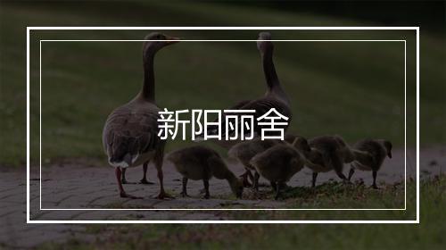 新阳丽舍