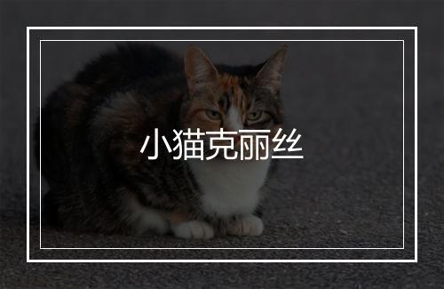 小猫克丽丝