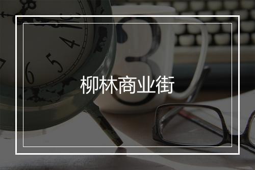 柳林商业街