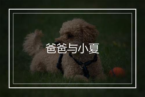 爸爸与小夏