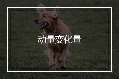 动量变化量