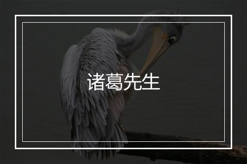 诸葛先生