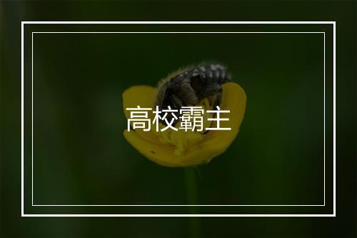 高校霸主