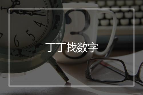 丁丁找数字