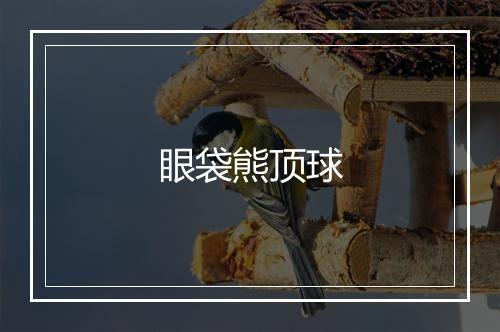 眼袋熊顶球