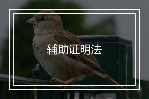 辅助证明法