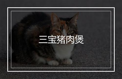 三宝猪肉煲