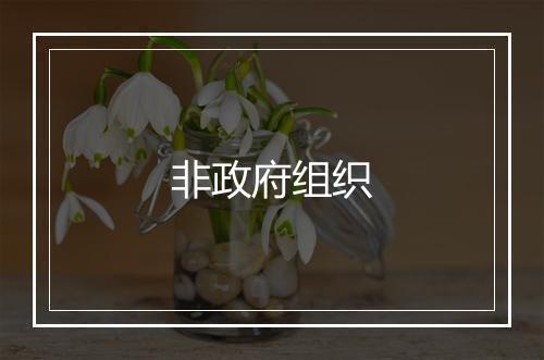 非政府组织