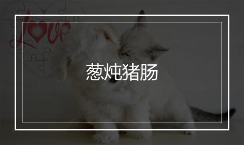 葱炖猪肠