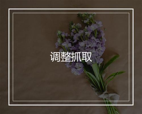 调整抓取