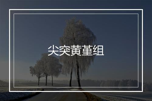 尖突黄堇组