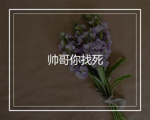 帅哥你找死