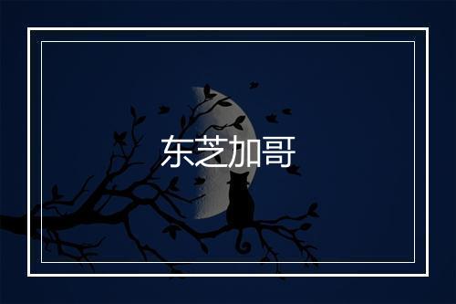 东芝加哥