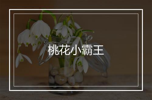 桃花小霸王