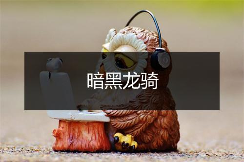 暗黑龙骑