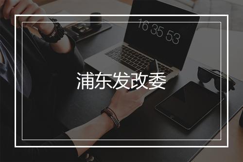 浦东发改委