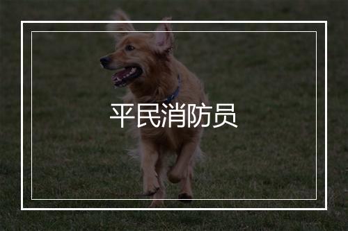 平民消防员