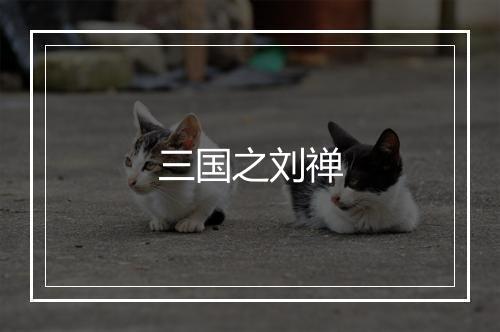 三国之刘禅