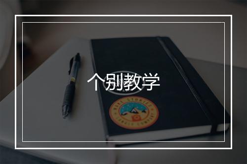 个别教学