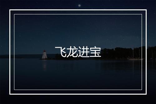 飞龙进宝