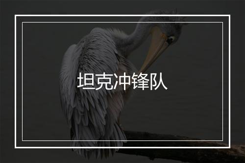 坦克冲锋队