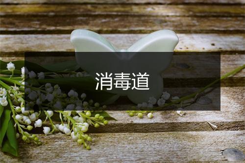 消毒道