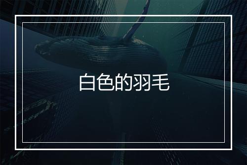 白色的羽毛