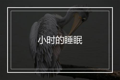 小时的睡眠