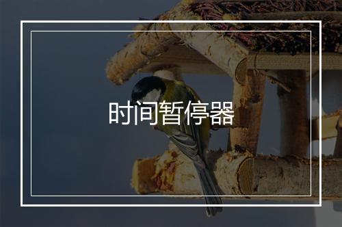 时间暂停器