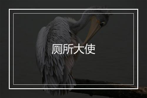 厕所大使