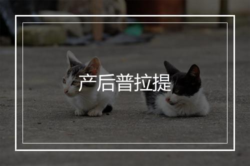 产后普拉提