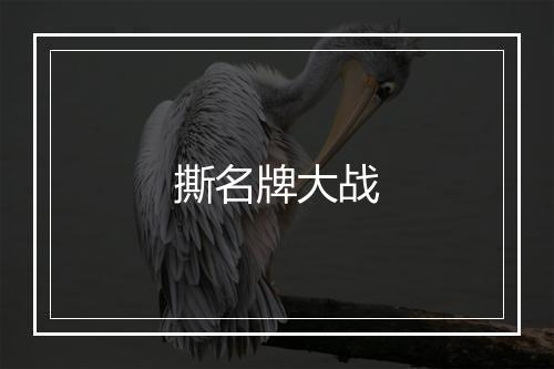 撕名牌大战