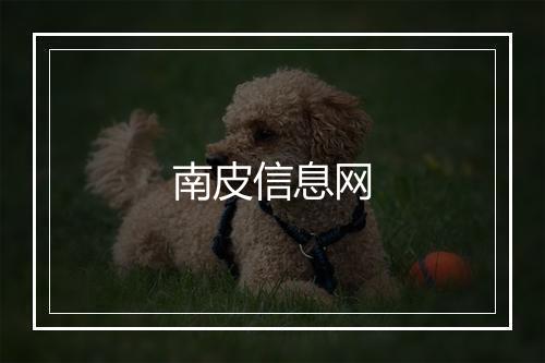 南皮信息网